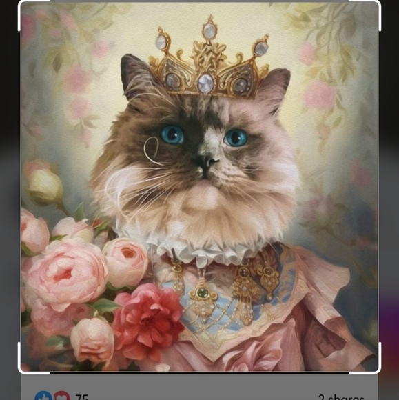 Meet your Posher, Debra - Picture 1 of 1